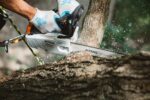 Tronçonneuse STIHL MS 194 T 3/8 avec Barre 35 cm – Image 3